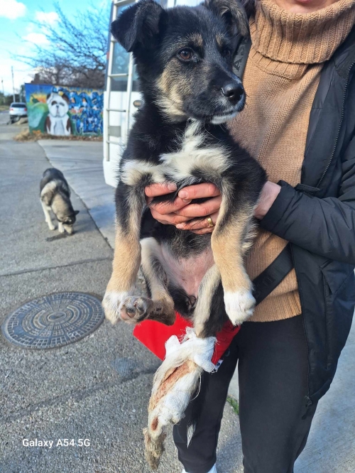 მეტისი ბათუმი ბენზინ გასამართი სადგური