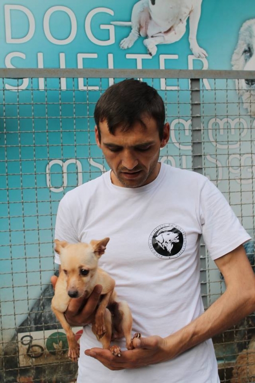 ჩიხუა ხუა უსახელო