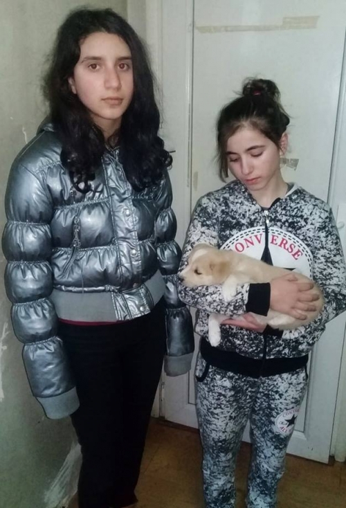 მეტისი უსახელო