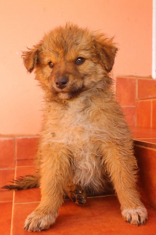 მეტისი უსაზხელო