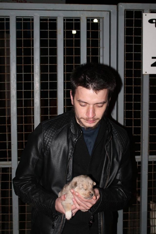 მეტისი უსახელო