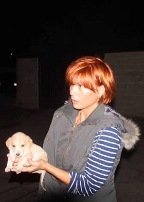 მეტისი უსახელო