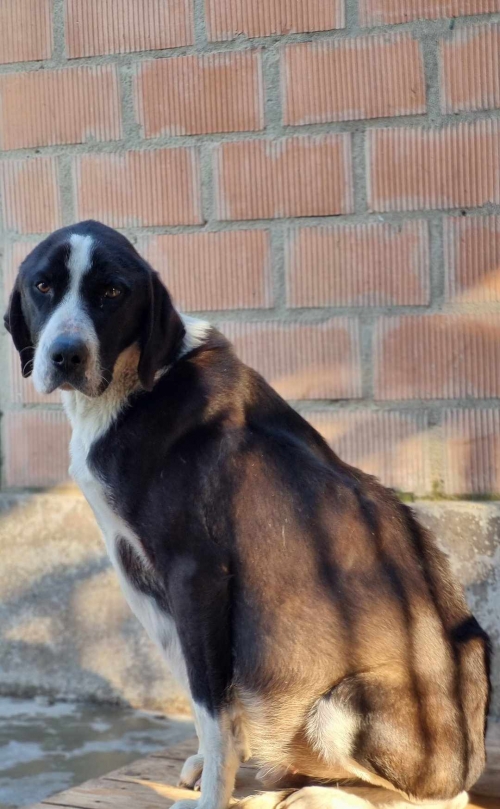 მეტისი კაიროს მე 6 ქუჩა