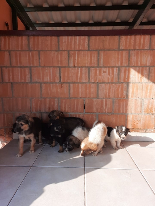 მეტისი ნაპოვნია ავტობანზე