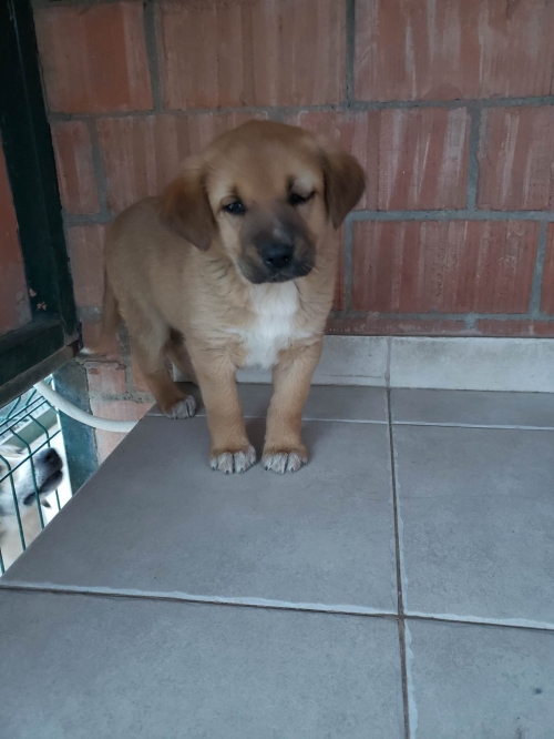 მეტისი გივი ამილახვარის ქუჩა 2 ნომერი