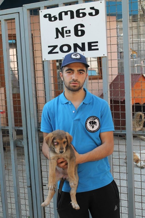 მეტისი უსახელო