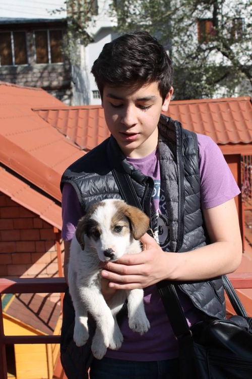 მეტისი უსახელო