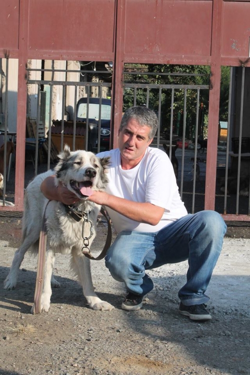 ქართული ნაგაზი მახნო