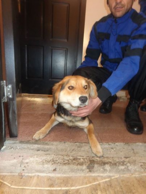 მეტისი უსახელო