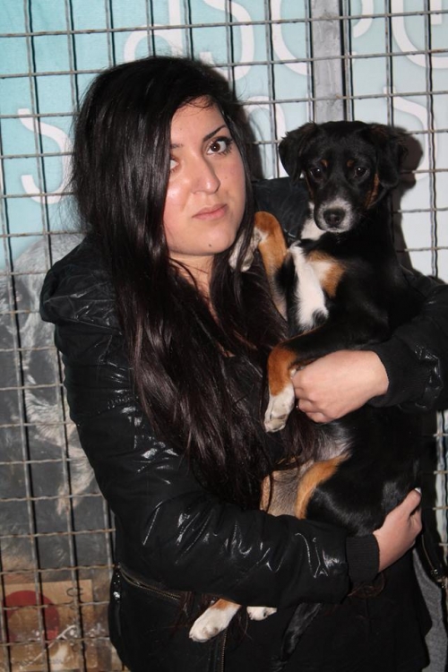 მეტისი უსახელო