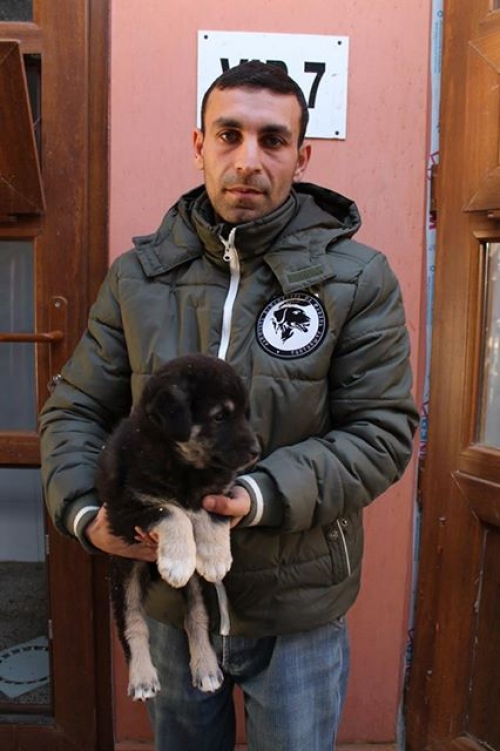 მეტისი უსახელო