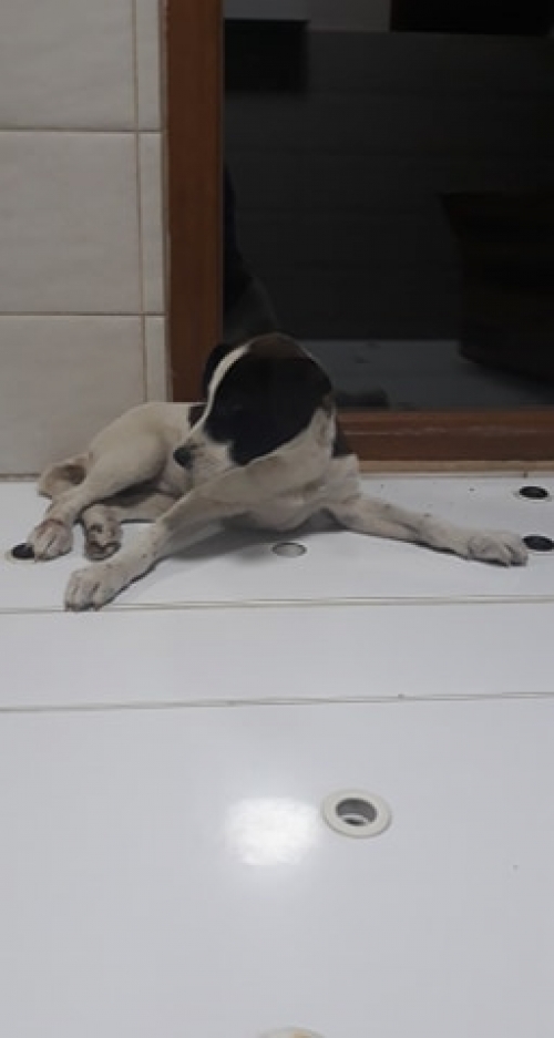 მეტისი უსახელო