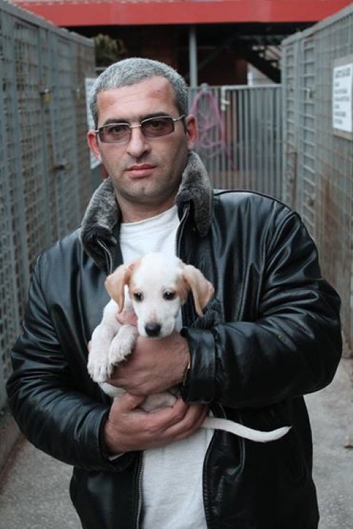 მეტისი უსახელო