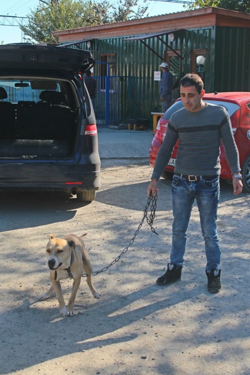 პიტი უსახელო