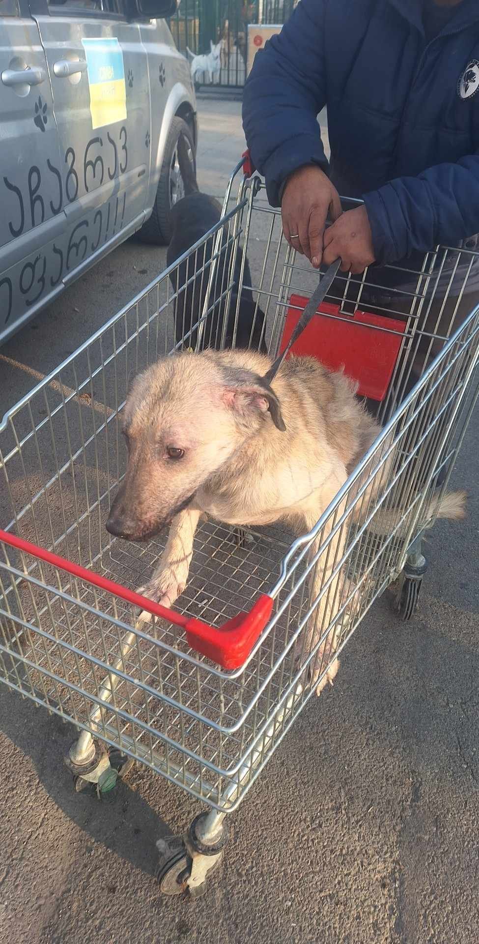 თემქა მე-4 მკრ. პერი