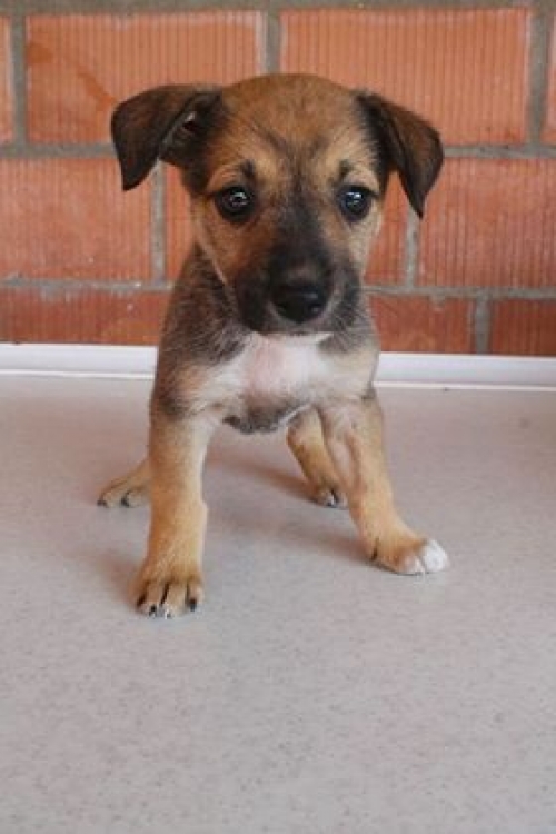 მეტისი უსახელო