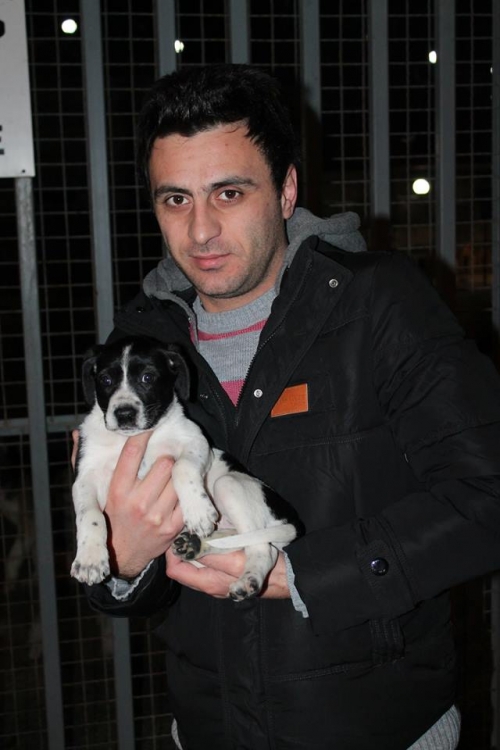 მეტისი უსახელო