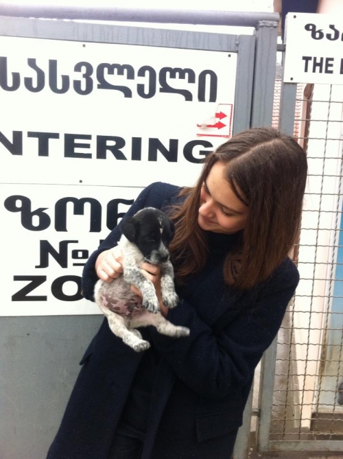 მეტისი უსახელო