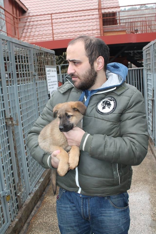 მეტისი უსახელო