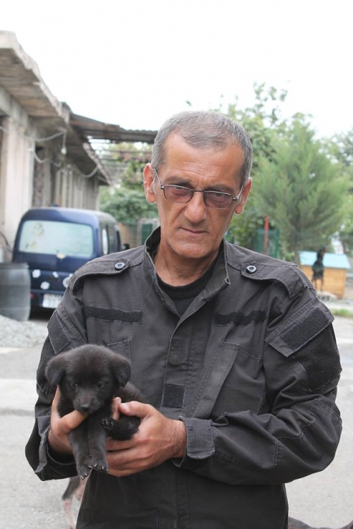 მეტისის ლეკვები უსახელო