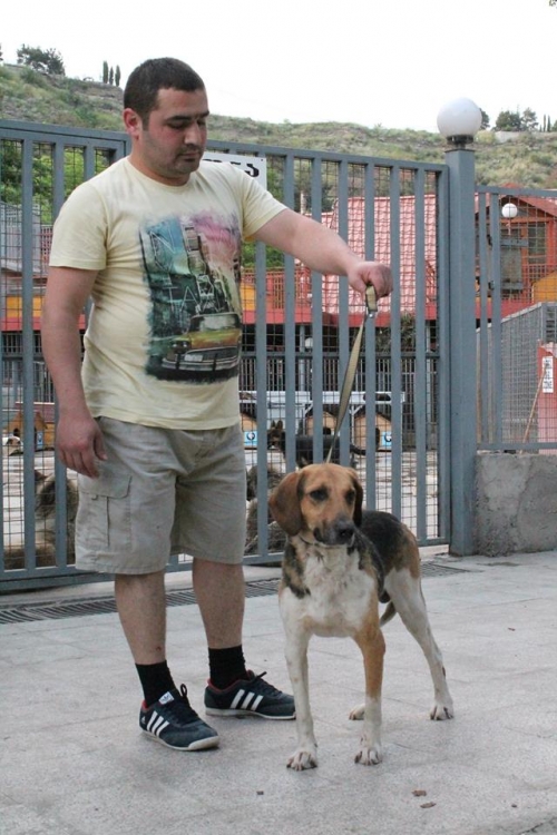 გონჩი როკი