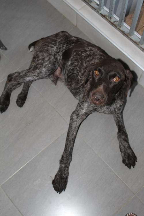 კურცხაარი უსახელო