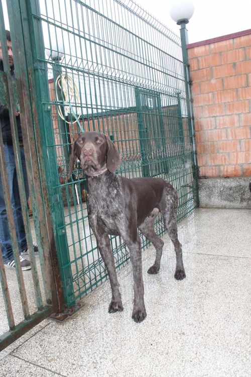 კურცხაარი უსახელო