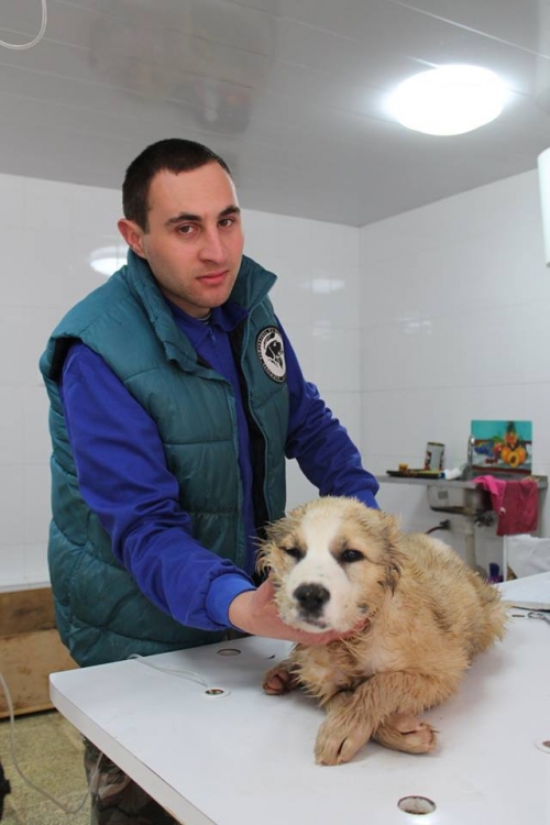 მეტისი უსახელო