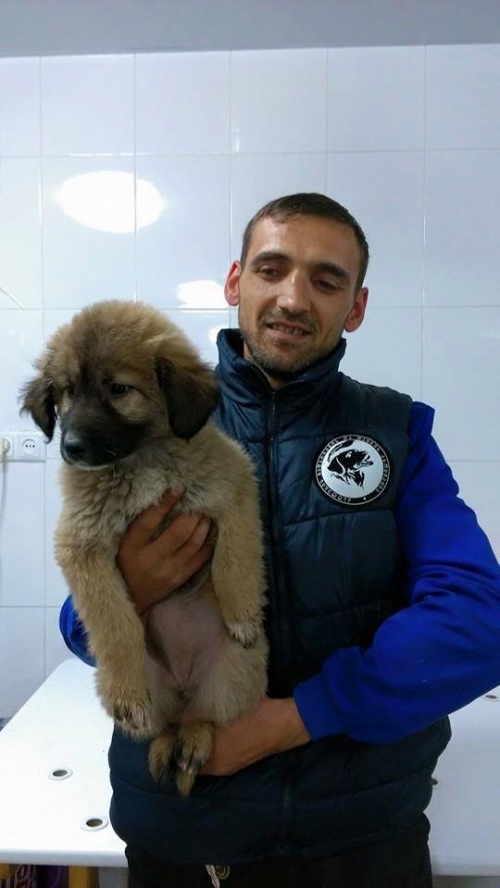 მეტისი უსახელო