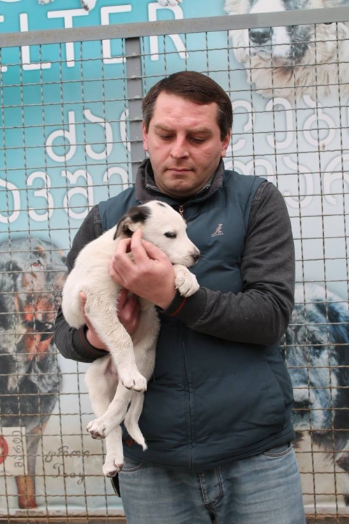 მეტისი უსახელო