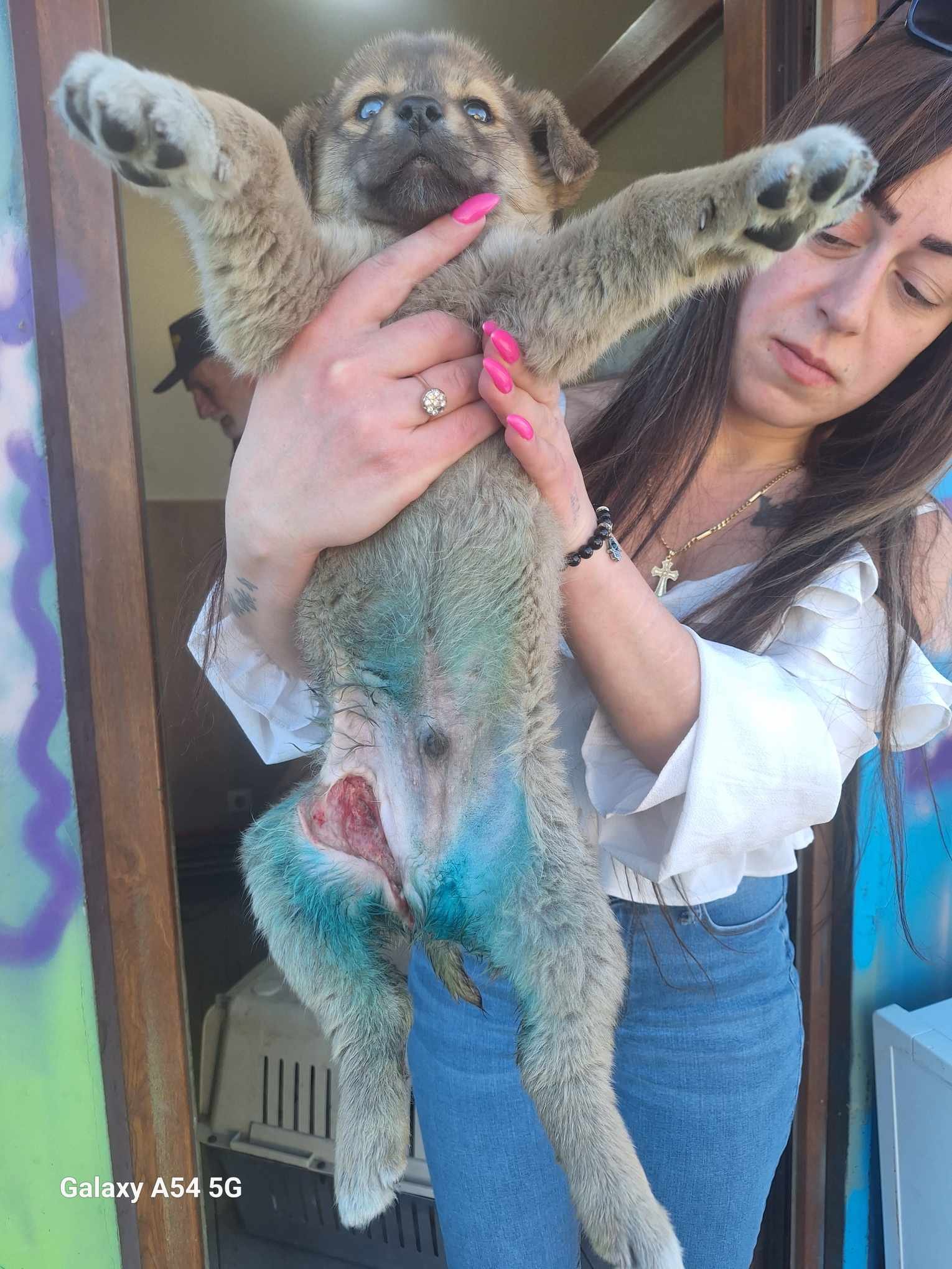 მეტისი. მე-8 დივიზიონი