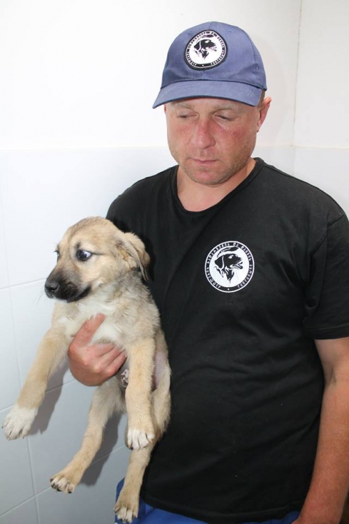 მეტისი უსახელო