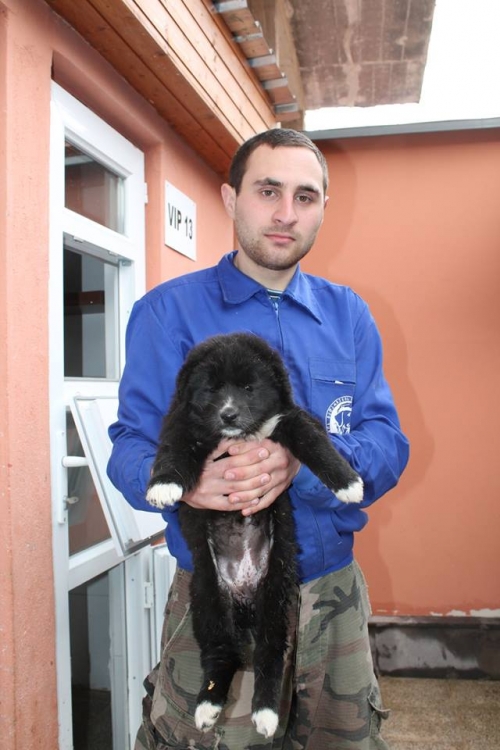 მეტისი უსახელო