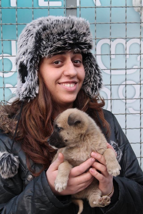 მეტისი უსახელო