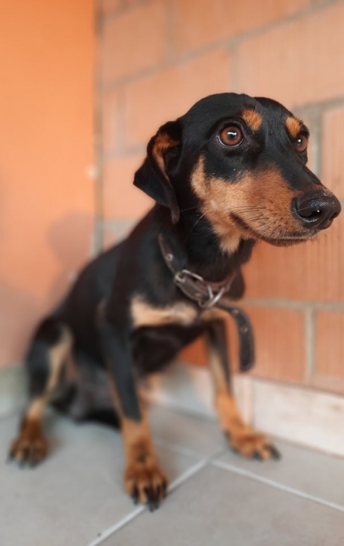 ტაქსა ნაპოვნია თემქა მუხიანის გზაზე