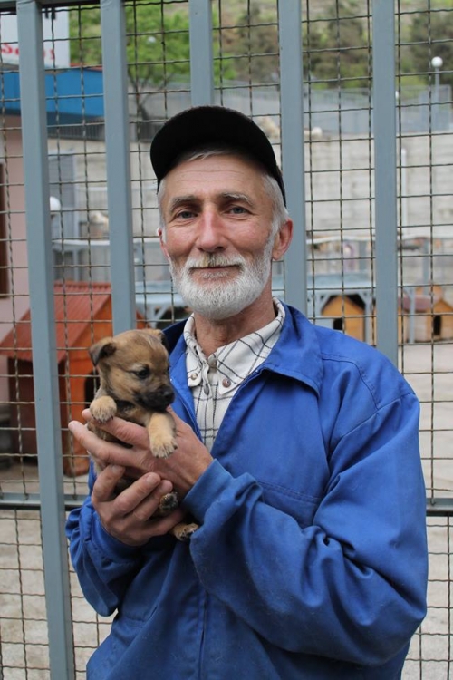 მეტისი უსახელო