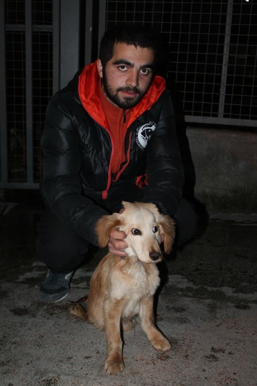 მეტისი უსახელო