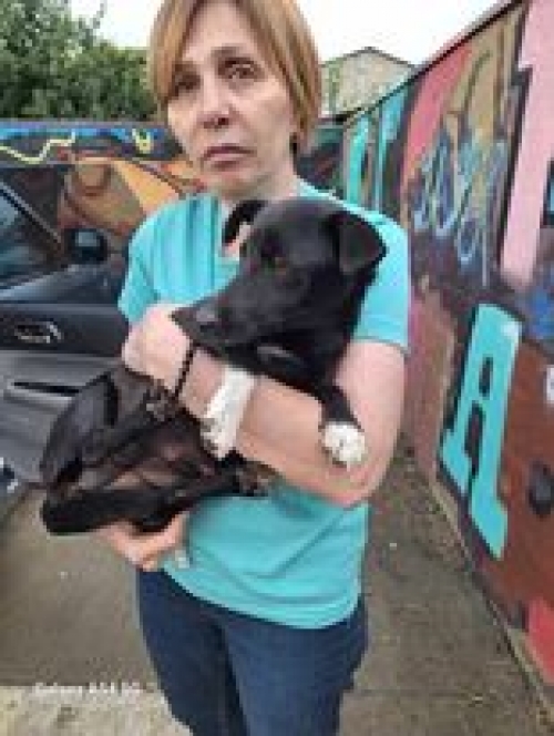 მეტისი ტაბახმელაში ტყის პირას მაყვლის ბუჩქებში იპოვა