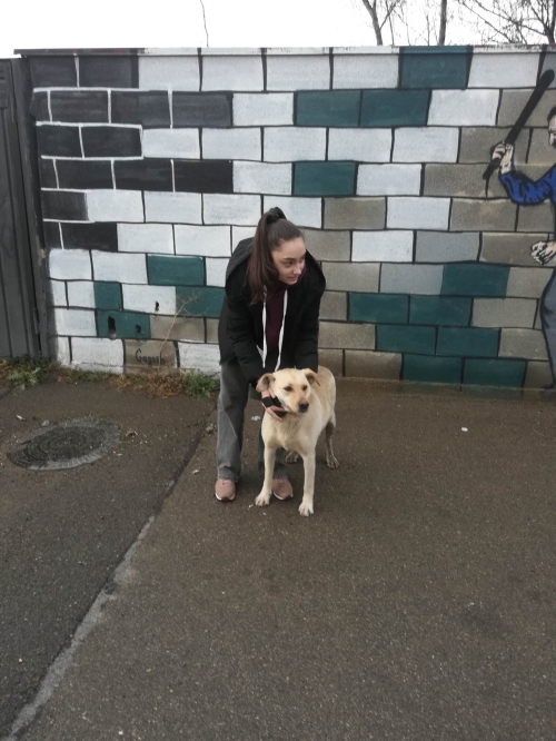 მეტისი ვარკეთილი მე 2 მიკრორაიონი მე 4 კორპუსი