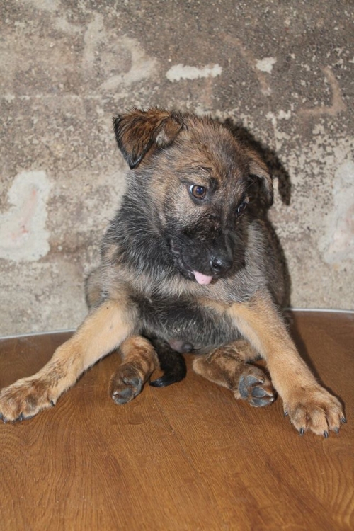 მეტისი უსახელო