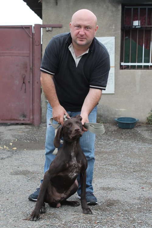 კურცხაარი ბინგო