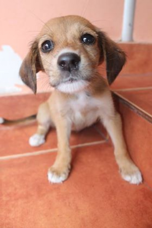 მეტისი უსახელო