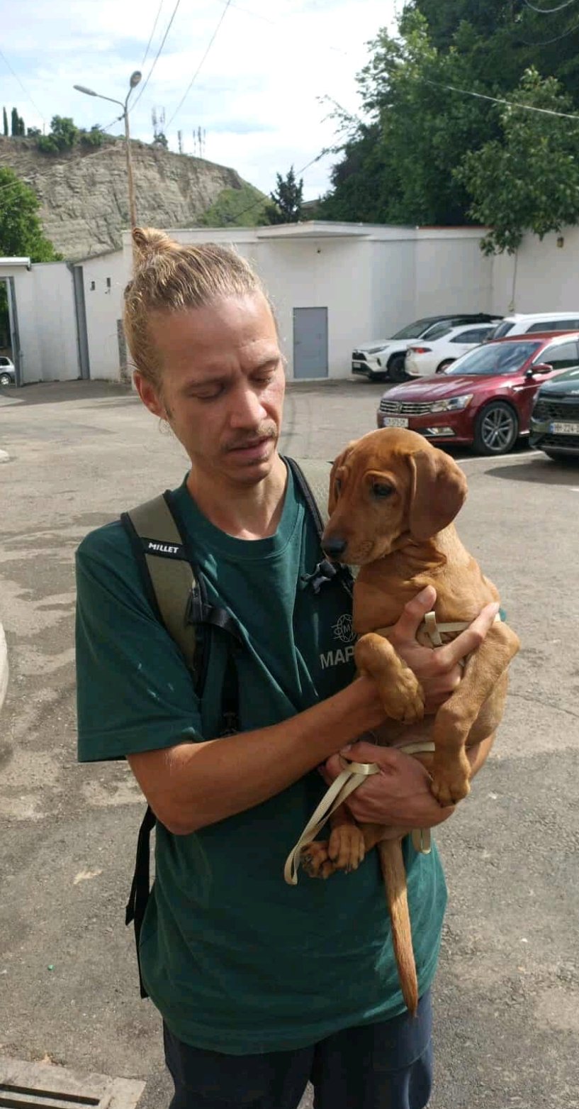 მეტისი. ტრამპი