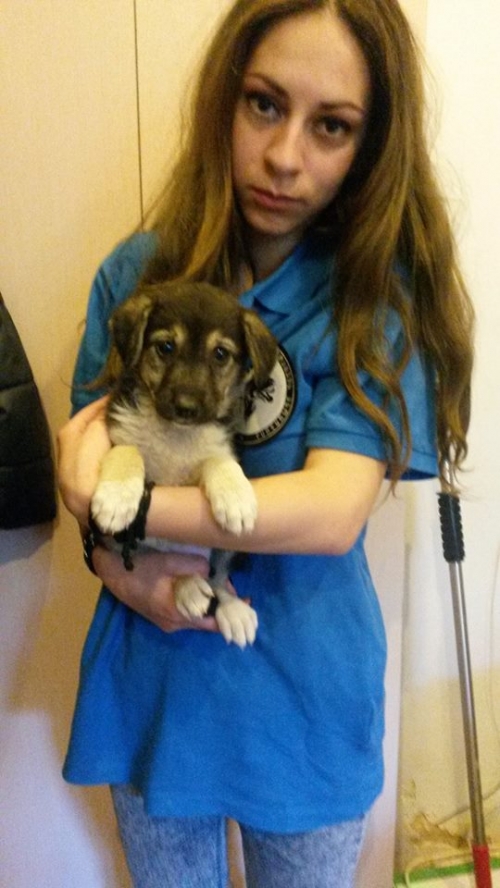 მეტისი უსახელო