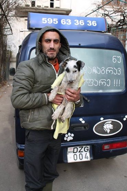 მეტისი უსახელო