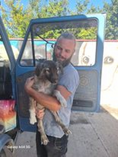 მეტისი ვაშლოვანში იპოვა ტურისტმა