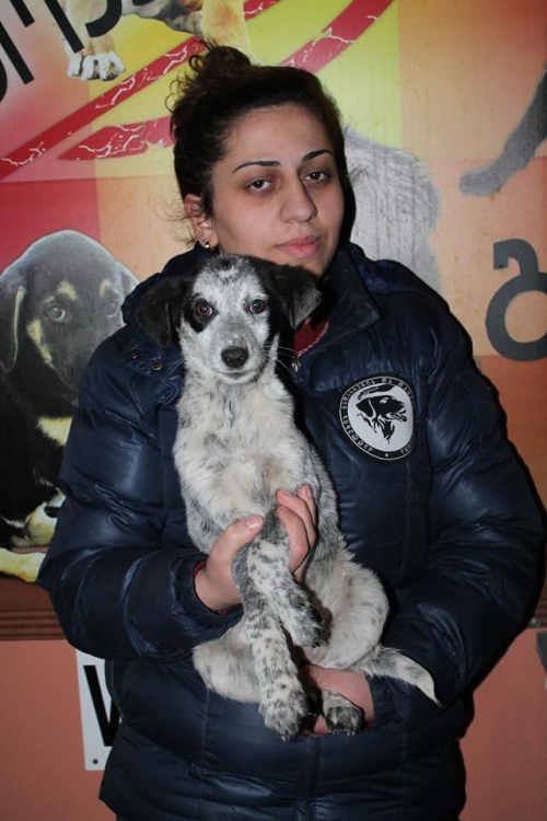 მეტისი უსახელო