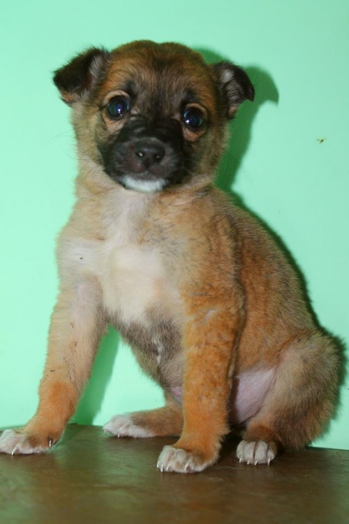 მეტისი უსახელო