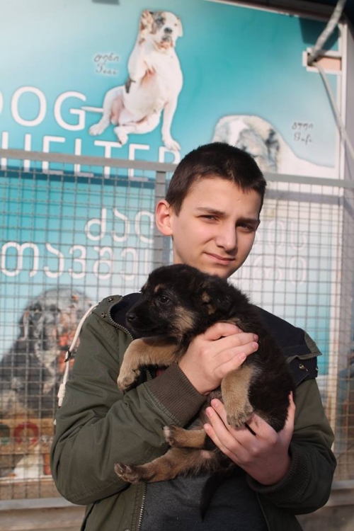 მეტისი უსახელო