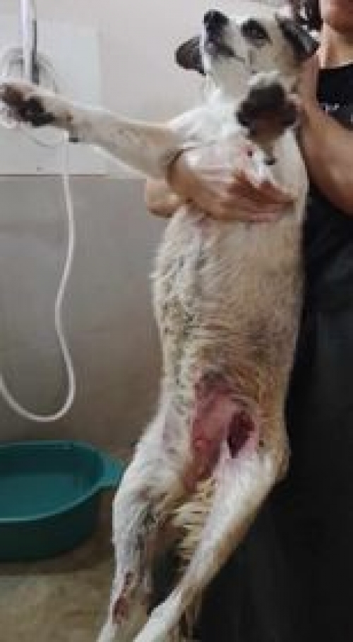 მეტისი ქაეროს მე 3 ქუჩა